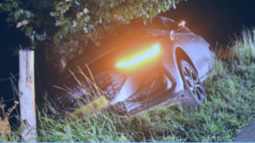 De auto kwam tegen de boom tot stilstand.