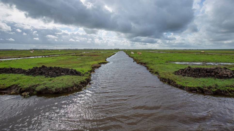 De Yerseke Moer
