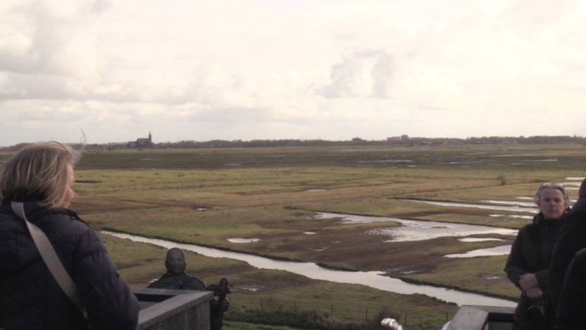 Uitzicht over de Yerseke Moer.
