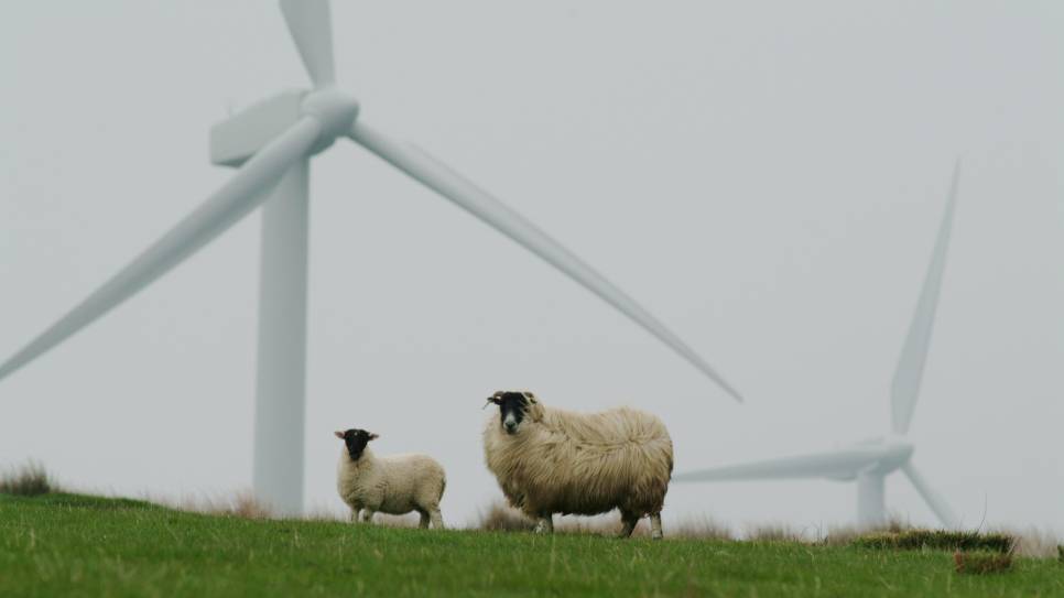 Goes zet een tandje bij voor een groene, duurzame toekomst.