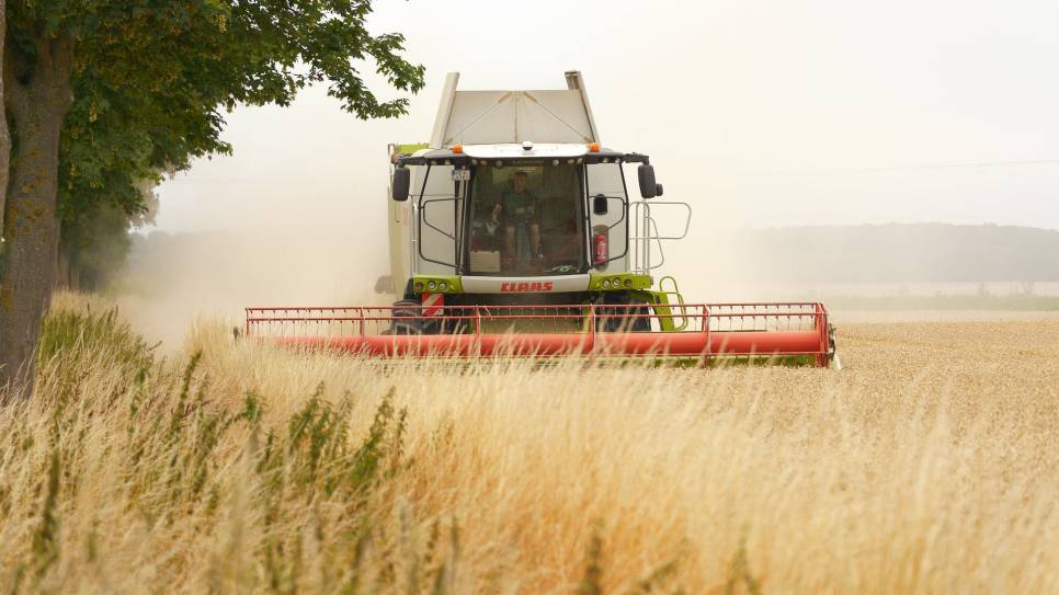 SGW wil PFAS-vrije landbouw op pachtgrond.
