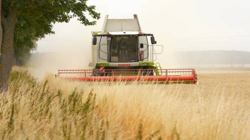 SGW wil PFAS-vrije landbouw op pachtgrond.