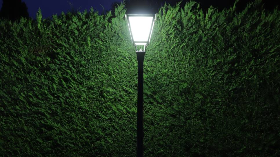 Licht gaat bewuster om met openbare verlichting, blijkt uit het nieuwe beleidsplan.