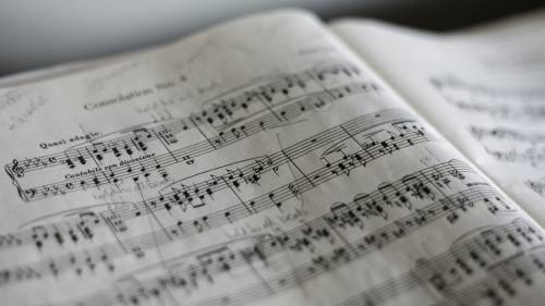 Apollo Wissenkerke brengt filmmuziek tot leven tijdens concert in Kamperland