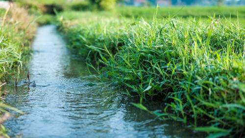 Een goede zoetwatervoorziening wordt steeds belangrijker voor de land- en tuinbouw.