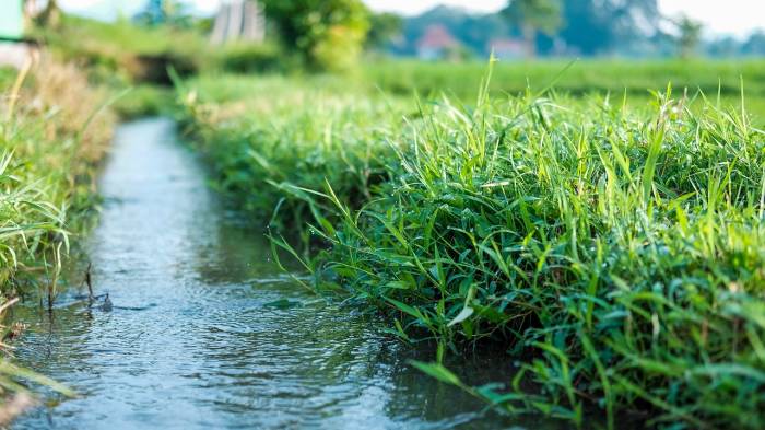 Een goede zoetwatervoorziening wordt steeds belangrijker voor de land- en tuinbouw.