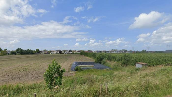 Agrarische percelen, waaronder een boomgaard, aan de oostkant van Krabbendijke waar de woningen komen.