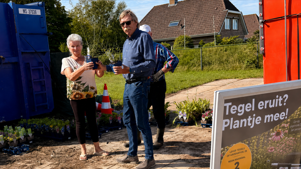 Wethouder Van der Hoest deelt plantjes uit.