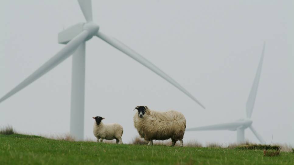 Ze komen er nu écht: de vijftien mega-windmolens van ZeBra.