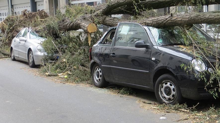 Stockfoto stormschade.