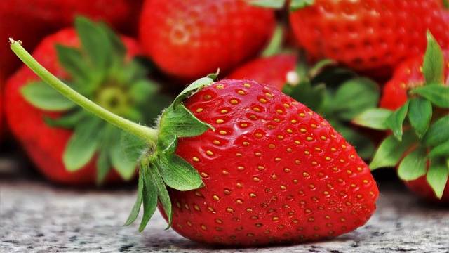 vers fruit voor schoolgaande jeugd in gemeente Kapelle