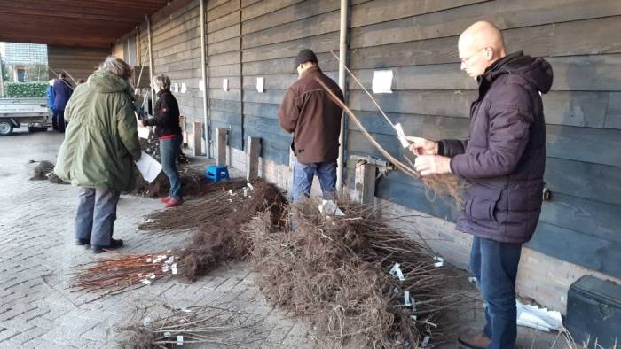 Vrijwilligers van de ZMf delen de bestelde boompjes en struiken uit.