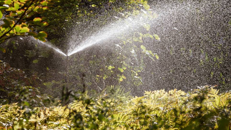 Ook op Noord-Beveland heeft de landbouw dringend behoefte aan voldoende zoetwater.