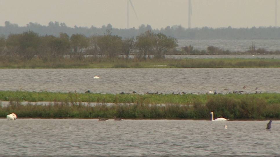 Het Volkerak-Zoommeer.